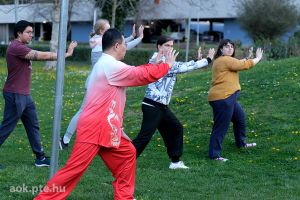 well being tai chi.jpg