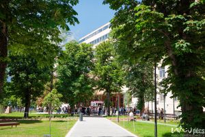 https://admissions.medschool.pte.hu/static-files/55635/AOK_parkatadas_2025_07_csortos._w_300_h_300.jpg